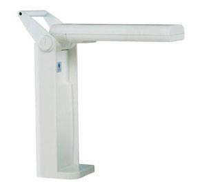 Daylight Compact Style Lamp