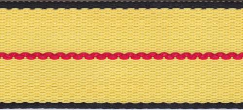 Truck Strapping
